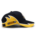 Factory wholesaler custom cap baseball cap and hat